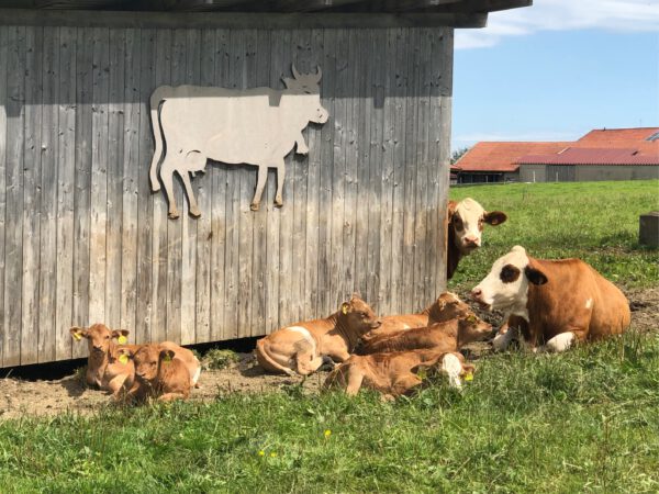 Heisenhof im Chiemgau, Schörging, Hittenkirchen