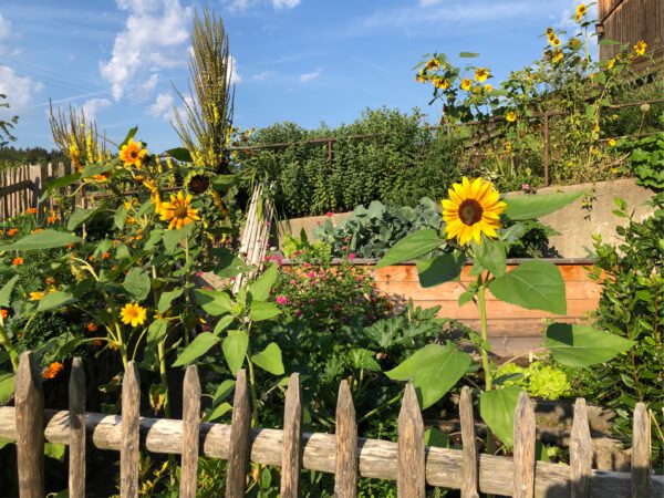 Heisenhof im Chiemgau, Schörging, Hittenkirchen