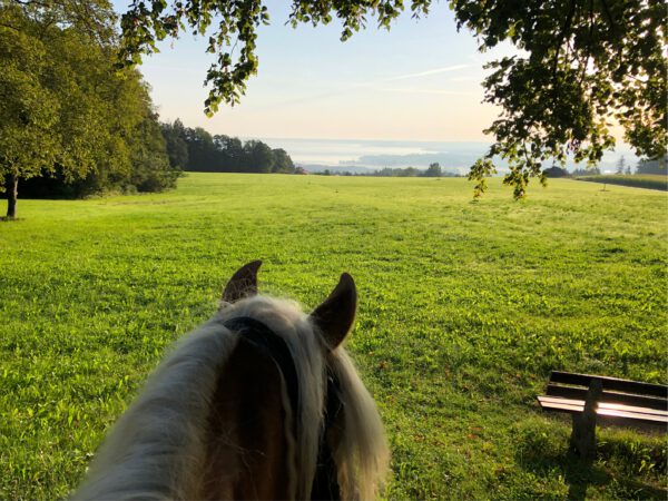 Heisenhof im Chiemgau, Schörging, Hittenkirchen