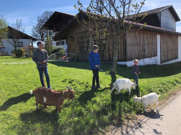 Der Heissenhof im Chiemgau / Urlaub auf dem Bauernhof in Bernau am Chiemsee